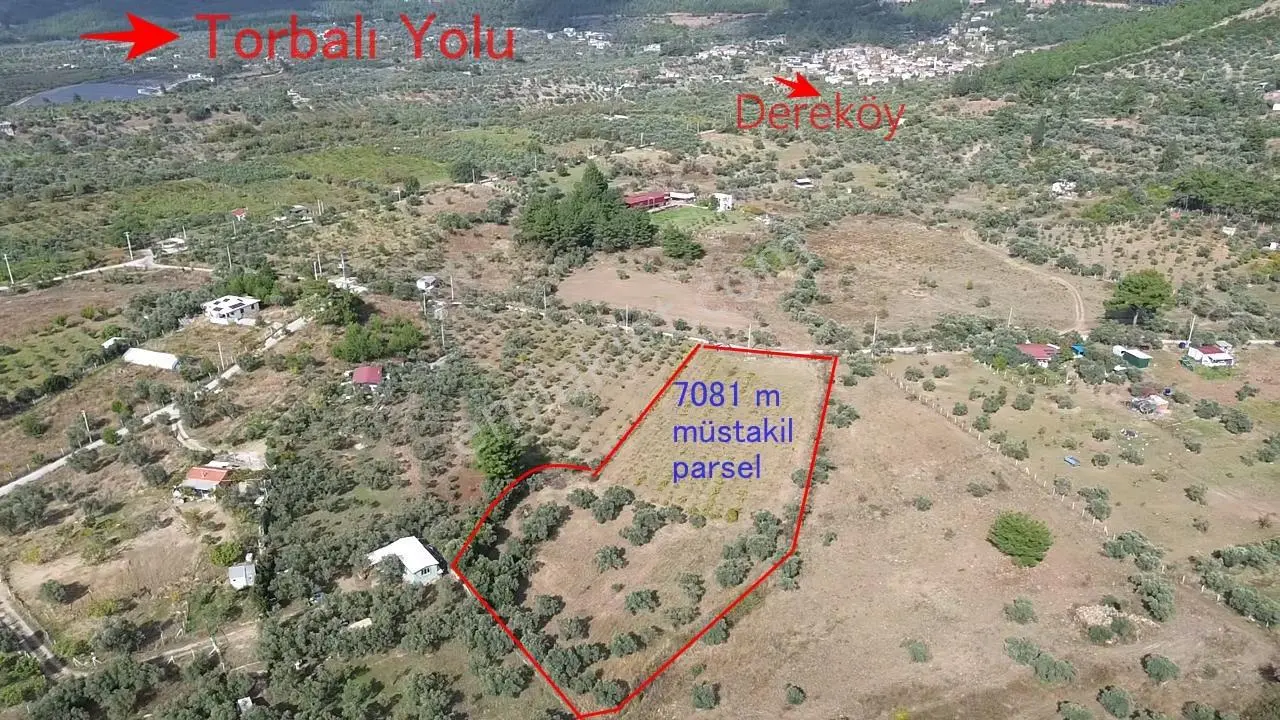 Kadastral Yola Cepheli Zeytinli Tarla — fotoğraf 17