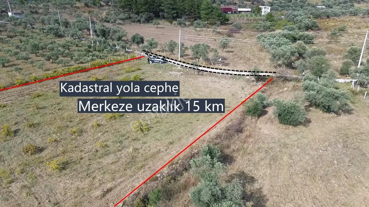 Kadastral Yola Cepheli Zeytinli Tarla — fotoğraf 19