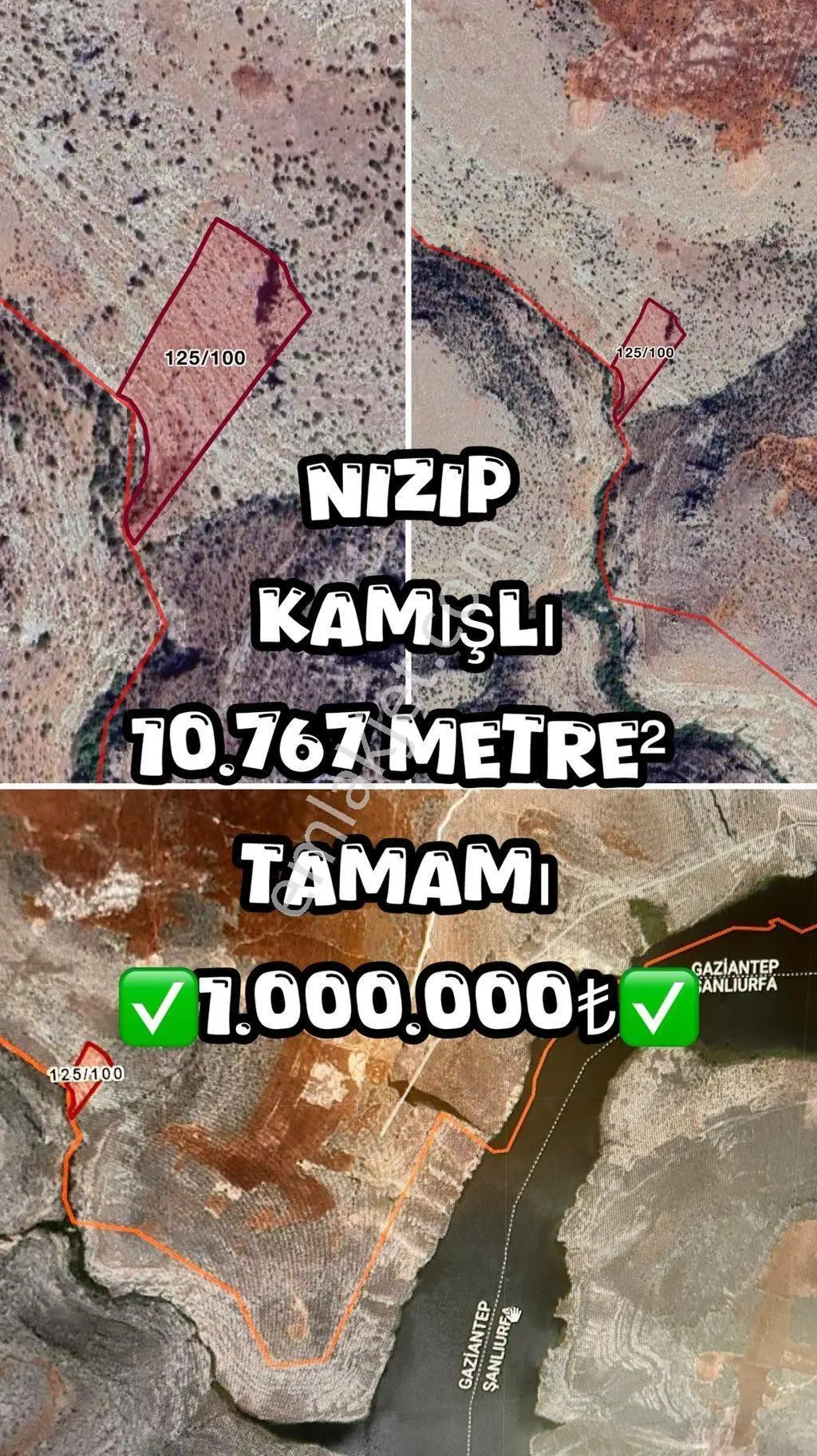 Acil Satılık Nizip Kamışlı 800.000₺ 10.767 M2 Arsadetaylı Bilgiler — fotoğraf 2