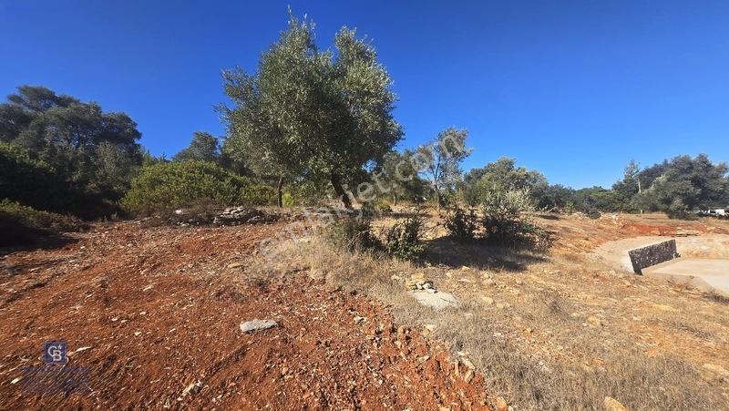 Bodrum Çamlık 10.331,14 M² Arsa İçerisinde Müstakil Malikane — fotoğraf 33