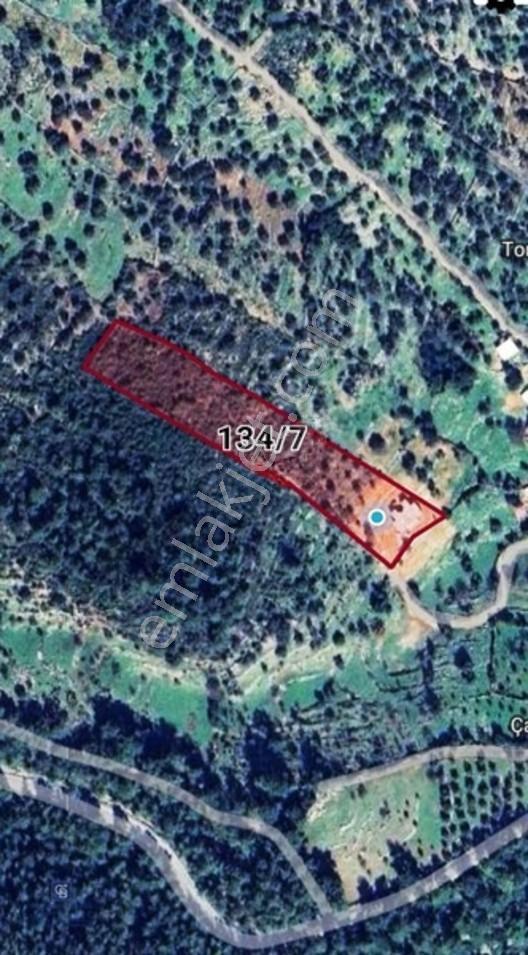 Bodrum Çamlık 10.331,14 M² Arsa İçerisinde Müstakil Malikane — fotoğraf 35
