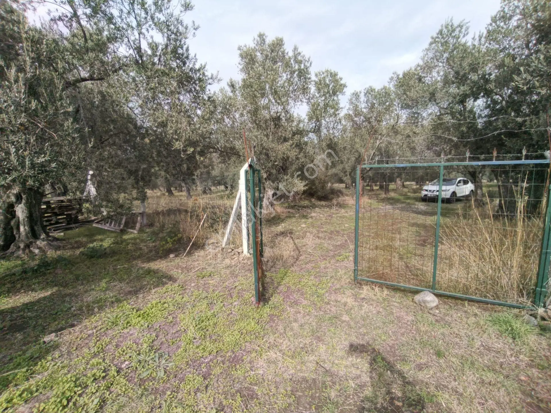 Havran Mescit Merkeze Çok Yakın 1092 M2