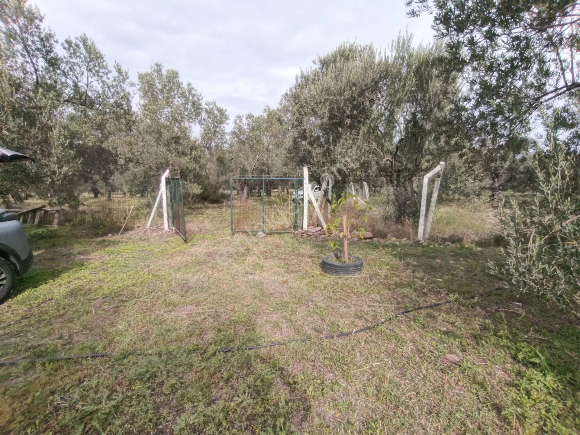 Havran Mescit Merkeze Çok Yakın 1092 M2 — fotoğraf 2