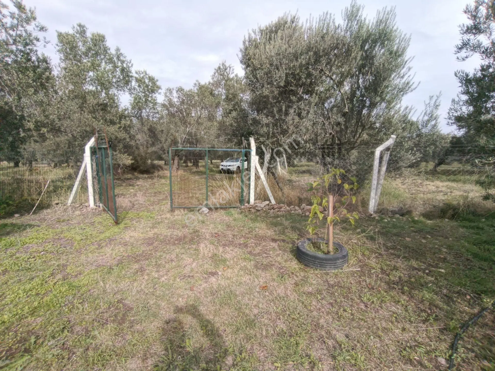 Havran Mescit Merkeze Çok Yakın 1092 M2 — fotoğraf 3