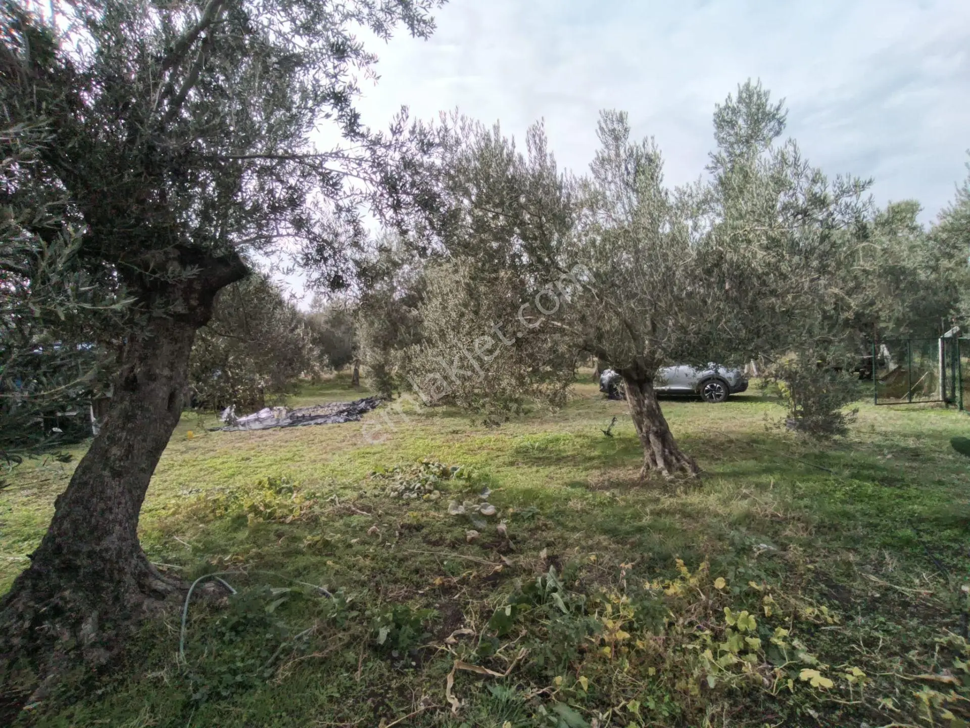Havran Mescit Merkeze Çok Yakın 1092 M2 — fotoğraf 4