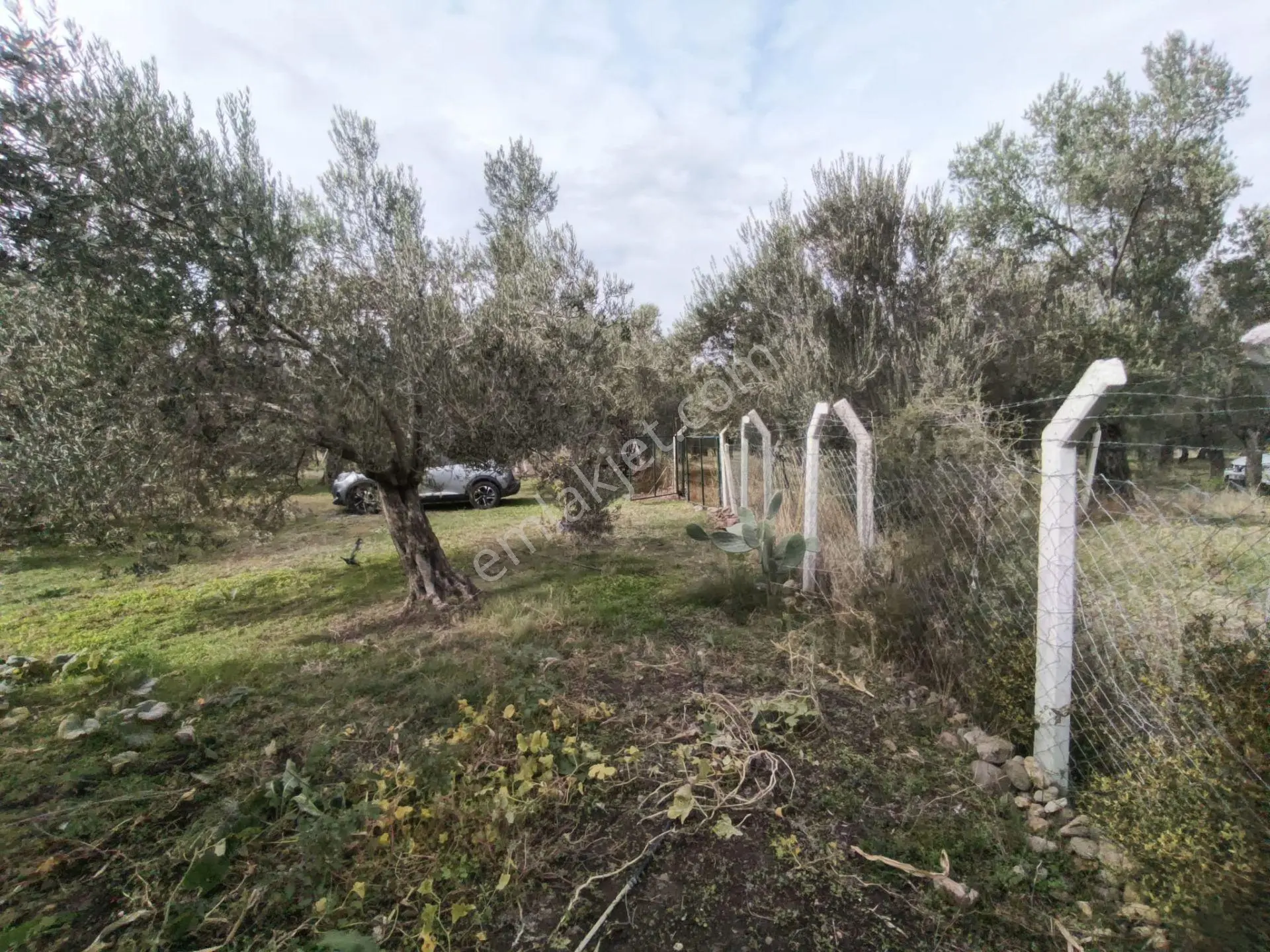 Havran Mescit Merkeze Çok Yakın 1092 M2 — fotoğraf 5