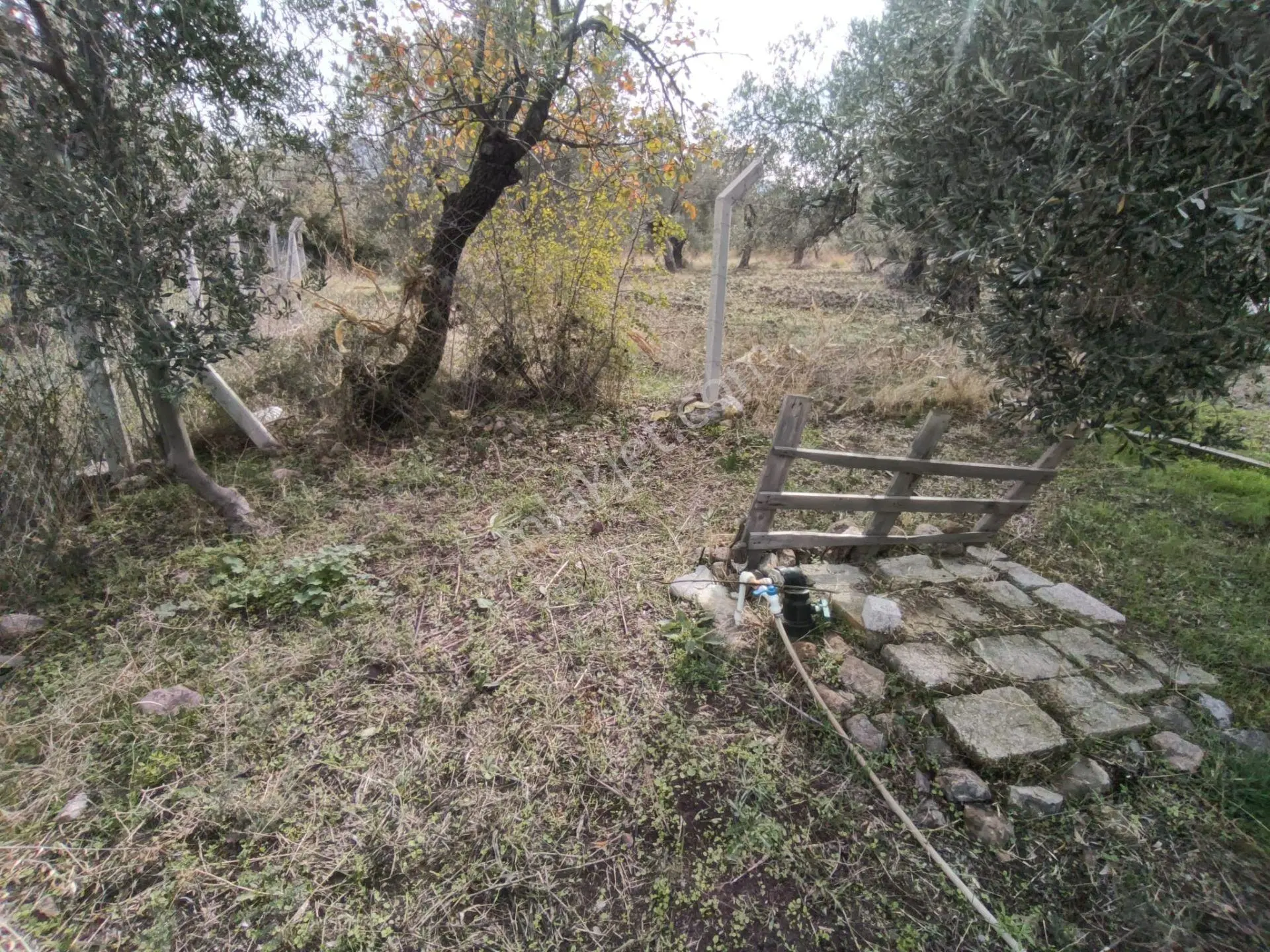 Havran Mescit Merkeze Çok Yakın 1092 M2 — fotoğraf 6