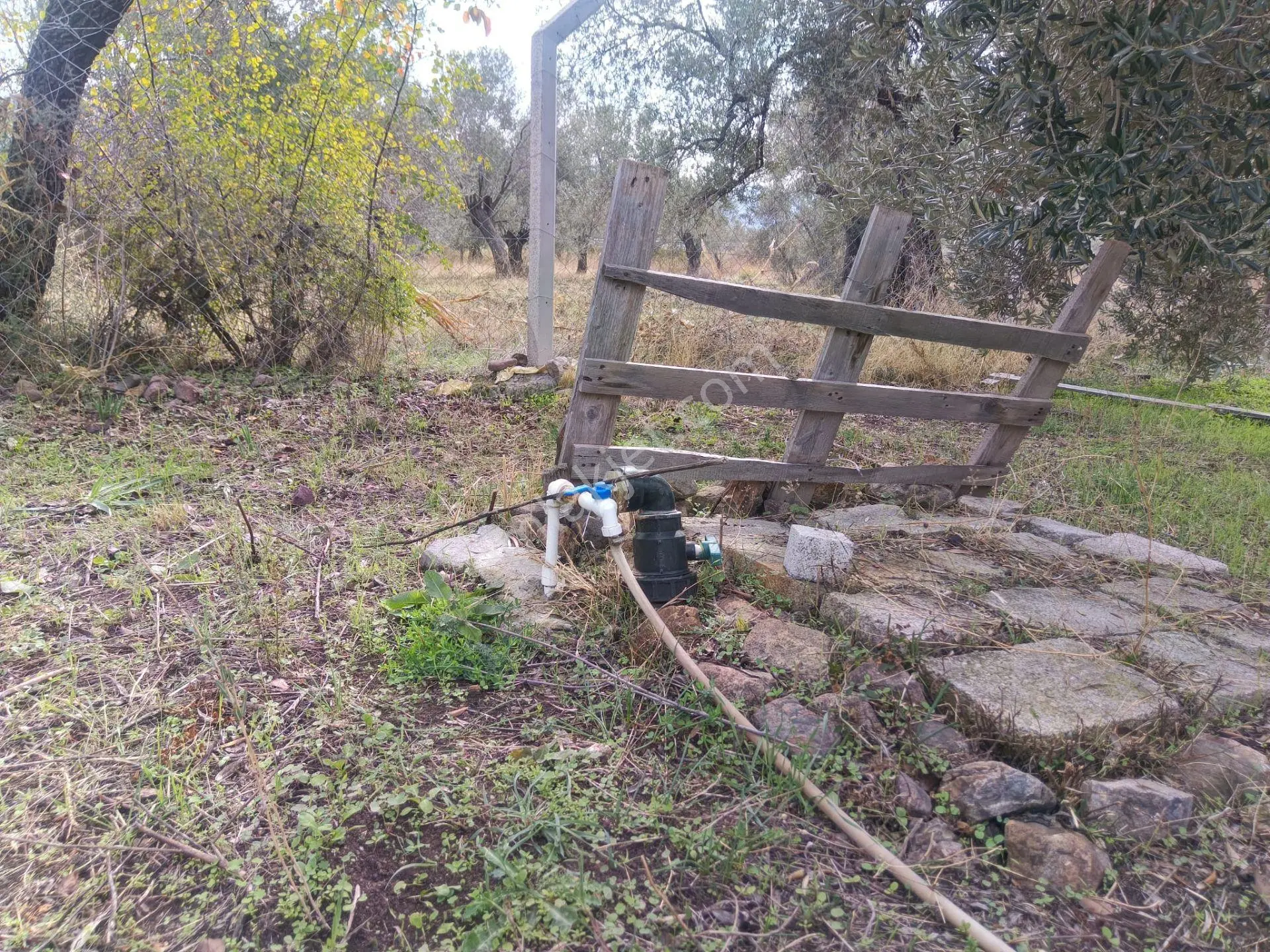 Havran Mescit Merkeze Çok Yakın 1092 M2 — fotoğraf 7