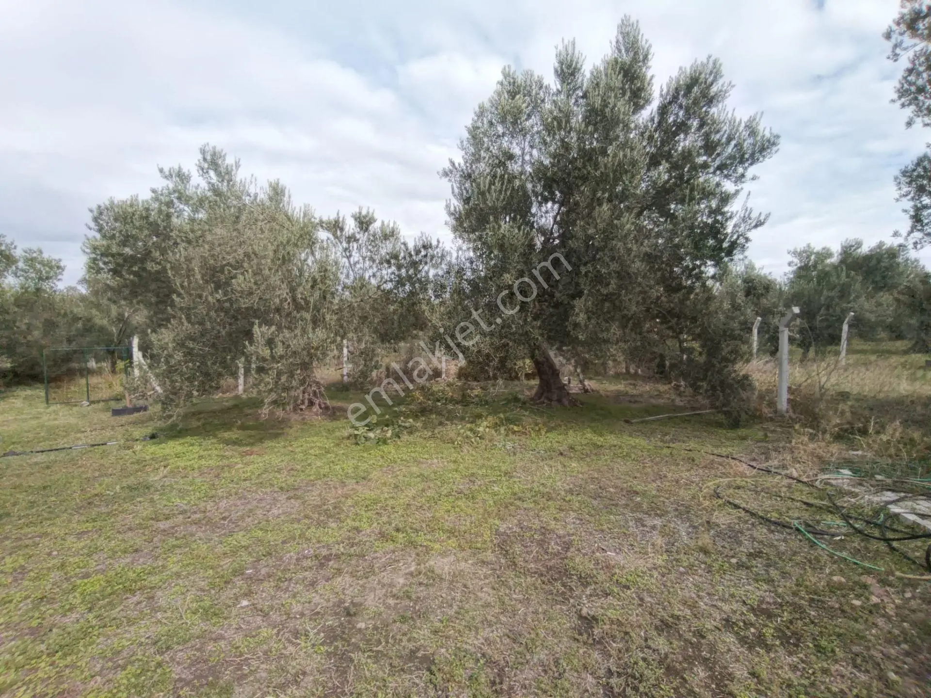 Havran Mescit Merkeze Çok Yakın 1092 M2 — fotoğraf 8