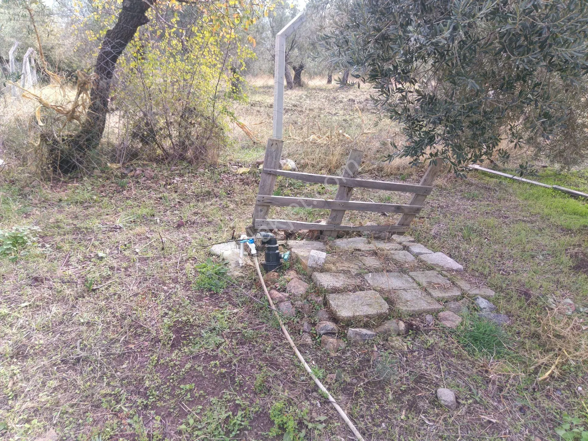 Havran Mescit Merkeze Çok Yakın 1092 M2 — fotoğraf 9