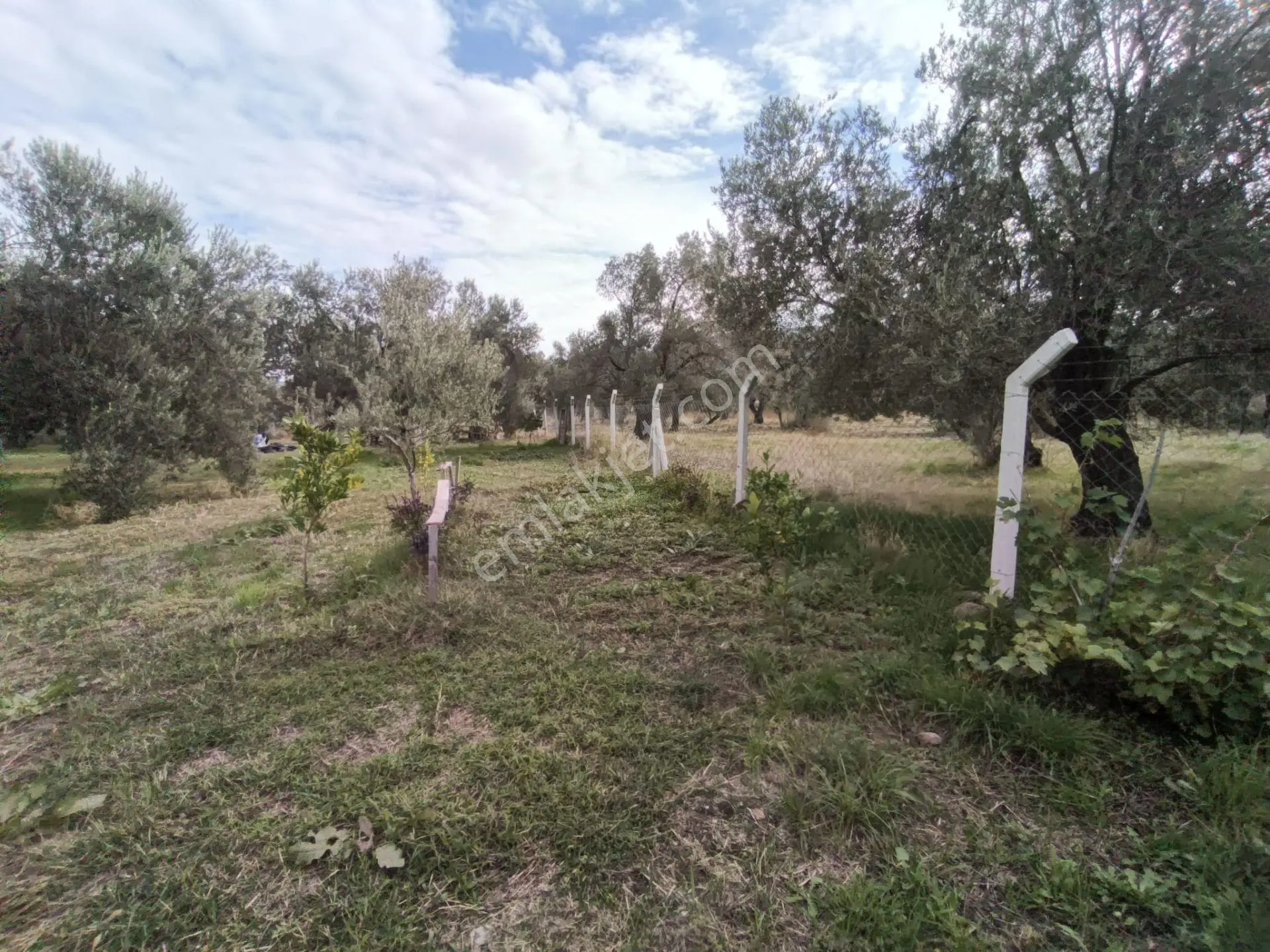 Havran Mescit Merkeze Çok Yakın 1092 M2 — fotoğraf 16