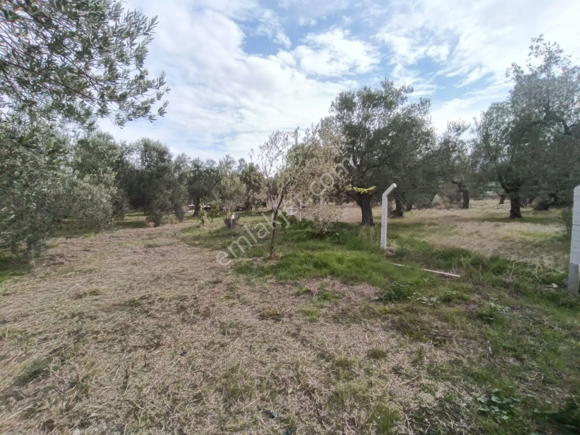 Havran Mescit Merkeze Çok Yakın 1092 M2 — fotoğraf 17