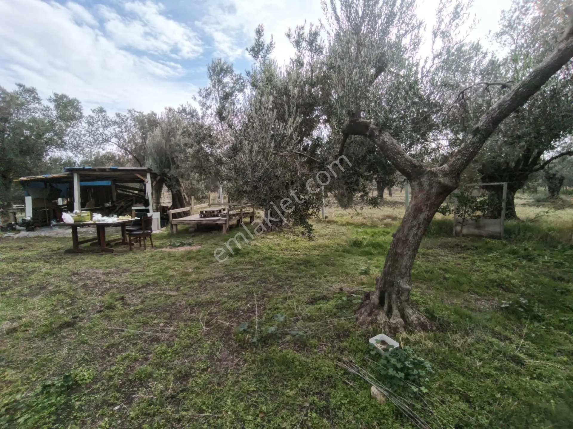 Havran Mescit Merkeze Çok Yakın 1092 M2 — fotoğraf 18