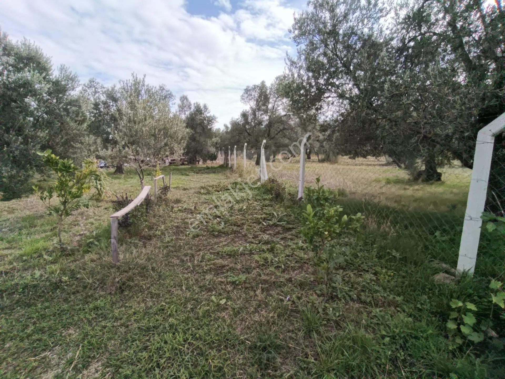 Havran Mescit Merkeze Çok Yakın 1092 M2 — fotoğraf 19