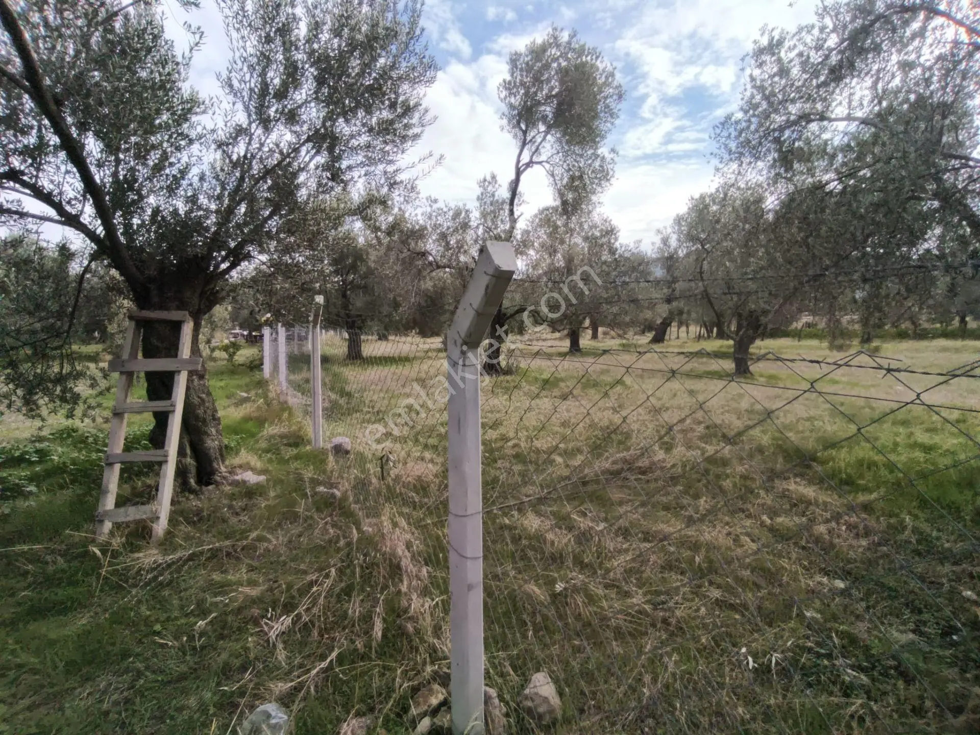 Havran Mescit Merkeze Çok Yakın 1092 M2 — fotoğraf 20