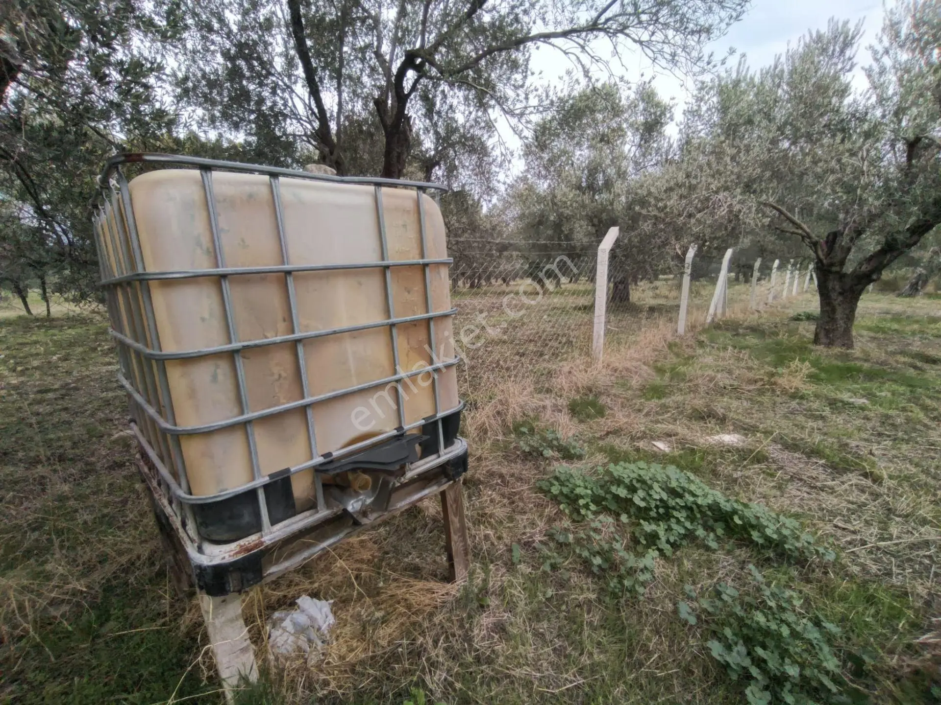 Havran Mescit Merkeze Çok Yakın 1092 M2 — fotoğraf 24