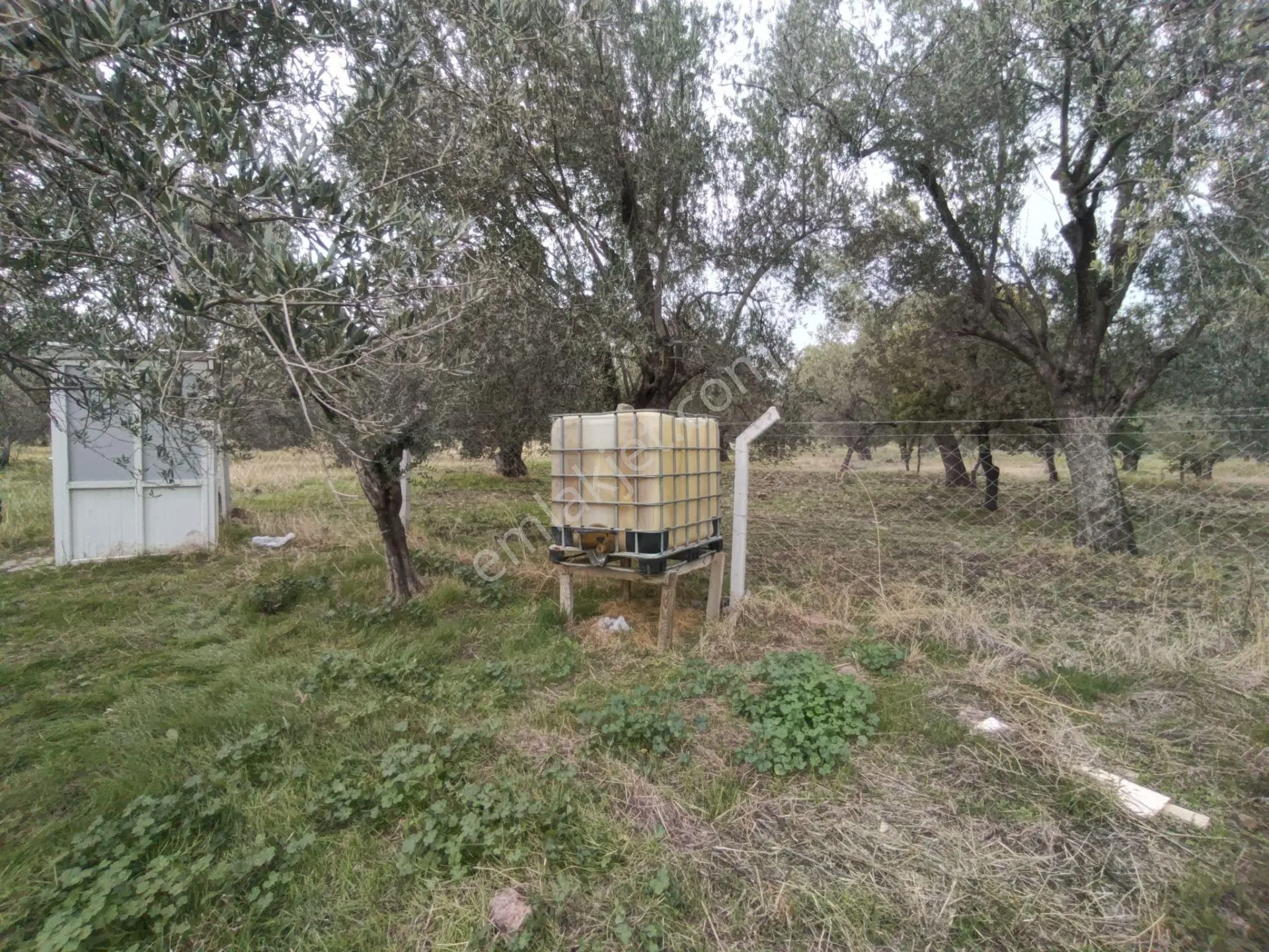 Havran Mescit Merkeze Çok Yakın 1092 M2 — fotoğraf 25