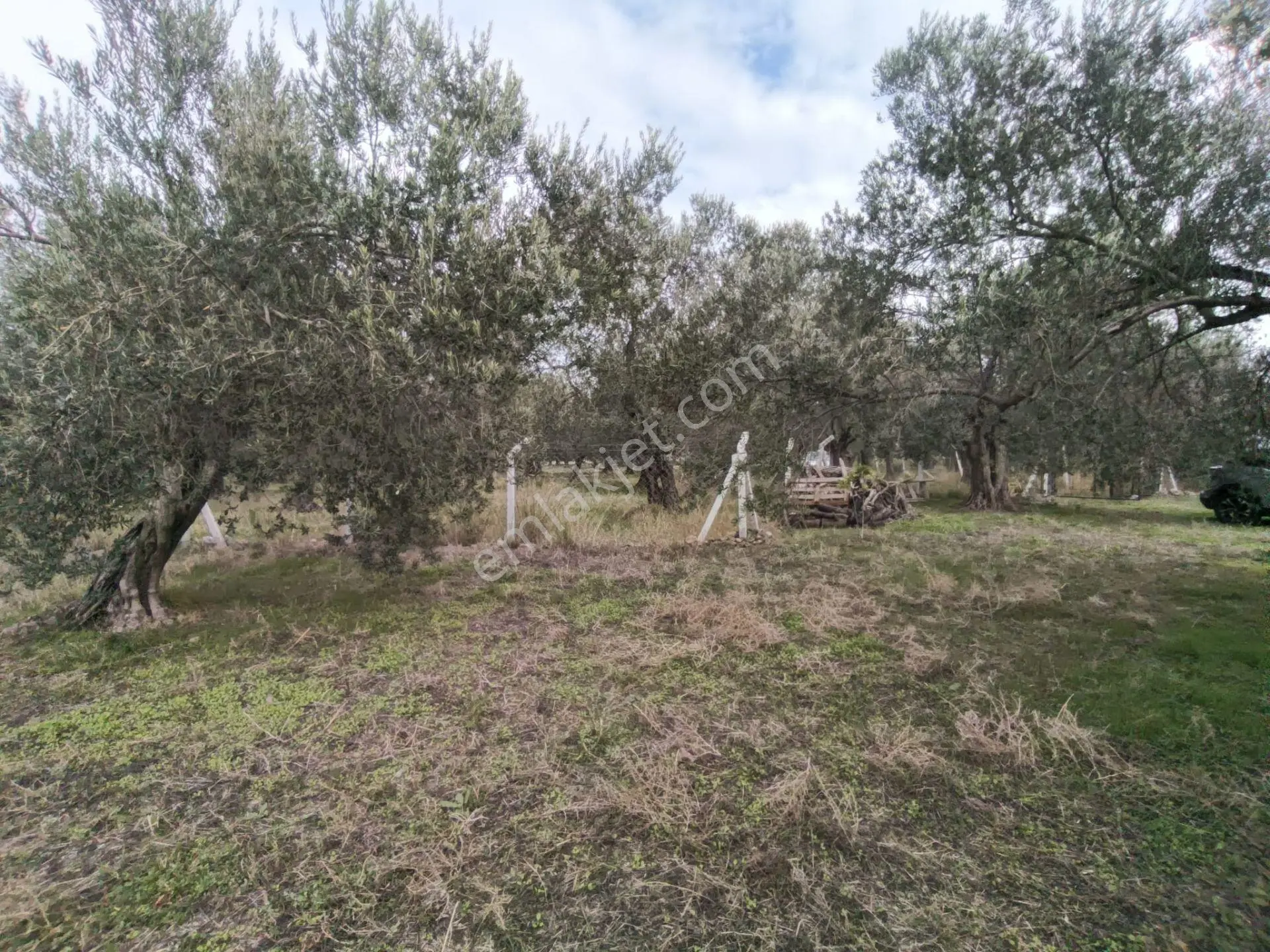 Havran Mescit Merkeze Çok Yakın 1092 M2 — fotoğraf 26