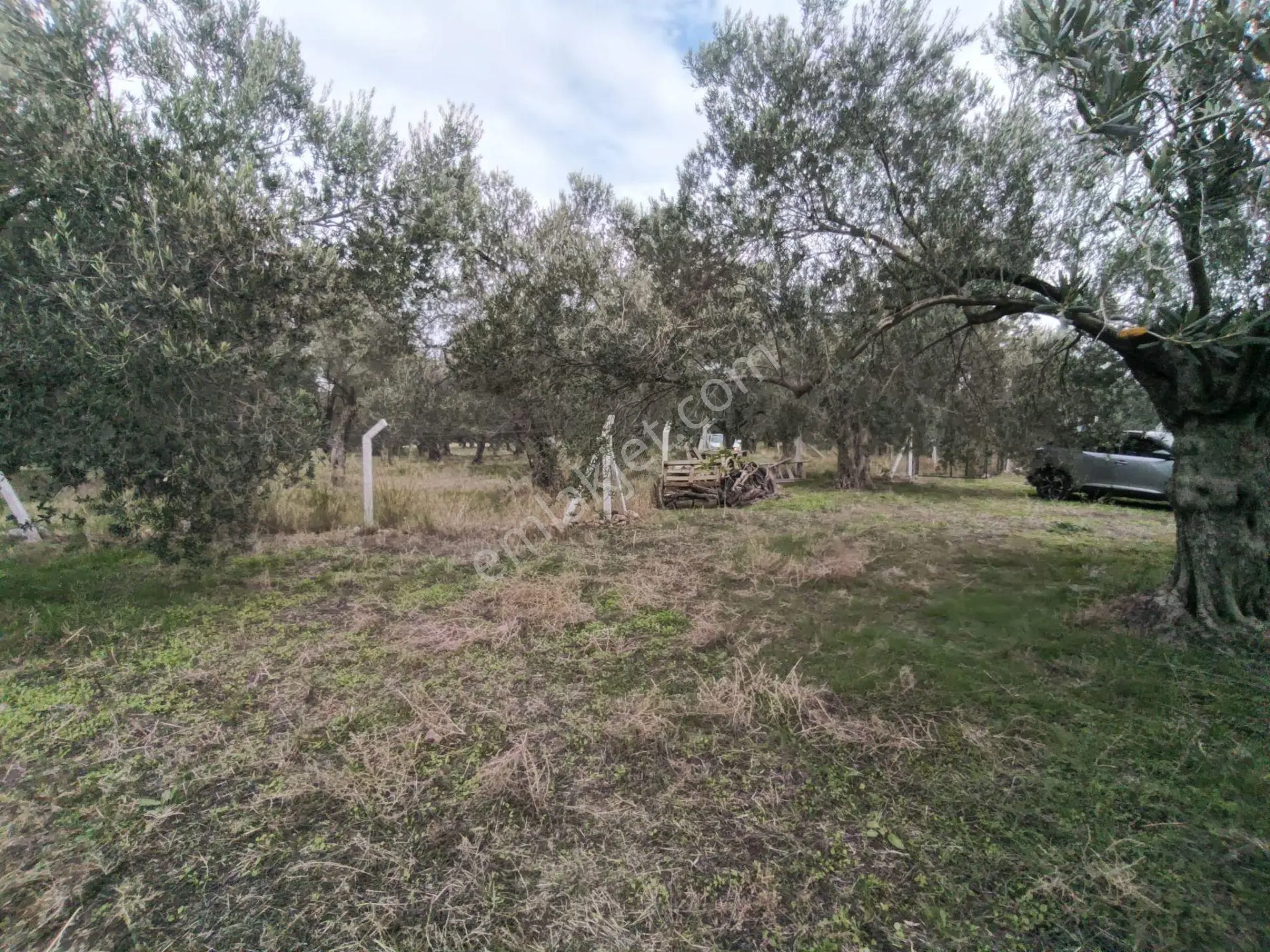 Havran Mescit Merkeze Çok Yakın 1092 M2 — fotoğraf 28