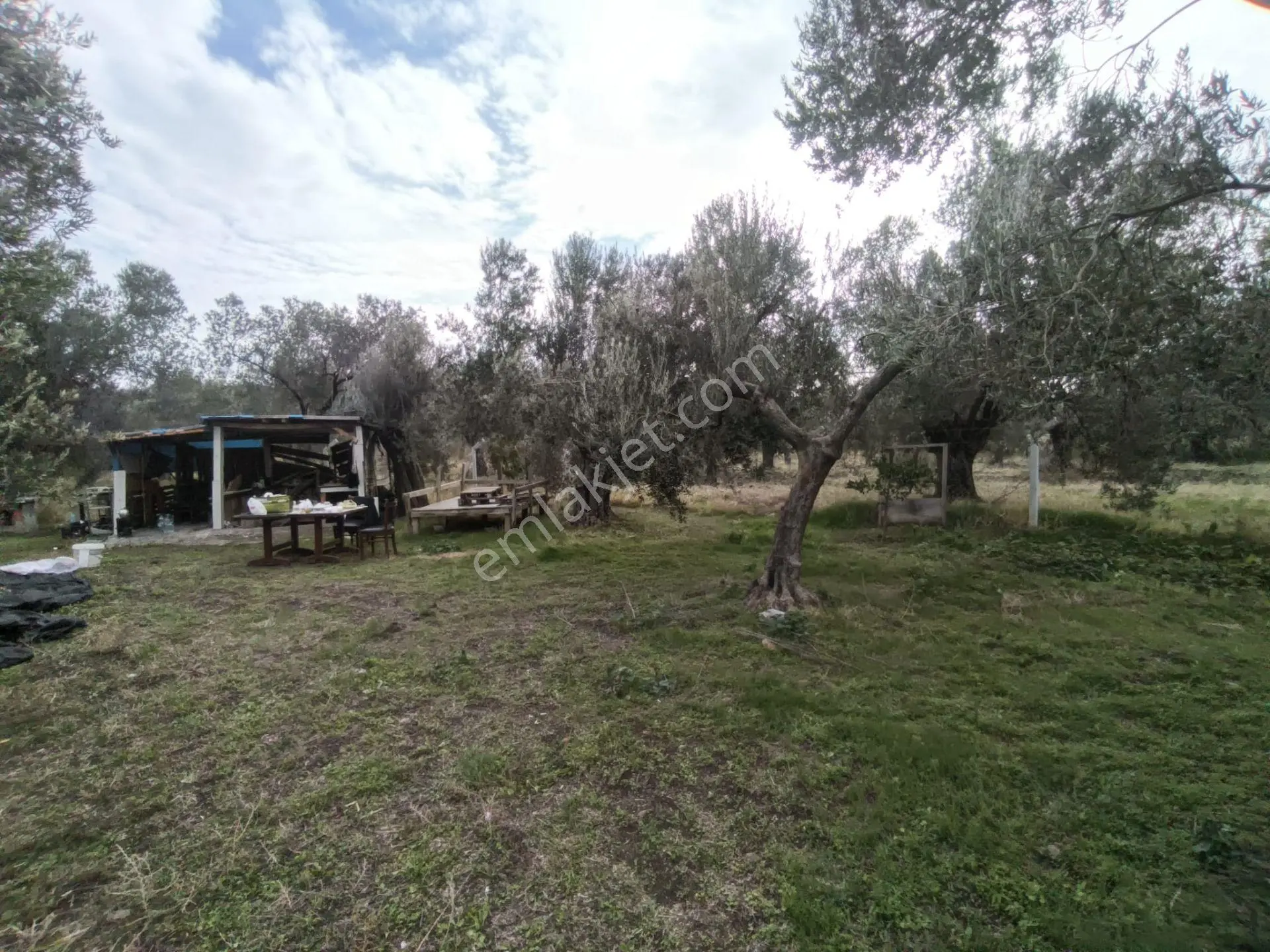 Havran Mescit Merkeze Çok Yakın 1092 M2 — fotoğraf 30