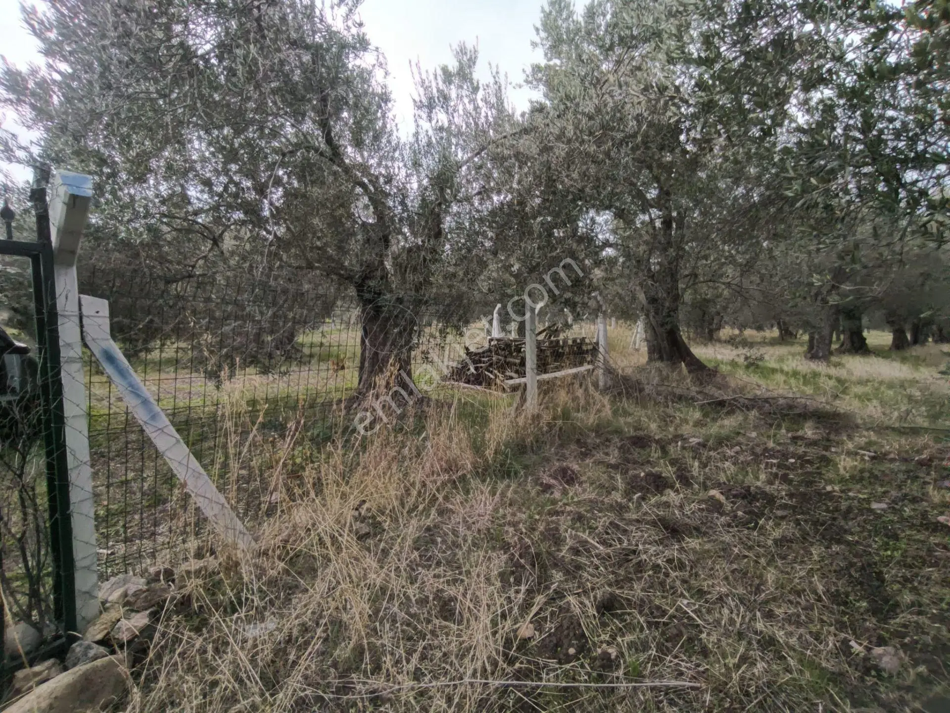 Havran Mescit Merkeze Çok Yakın 1092 M2 — fotoğraf 34