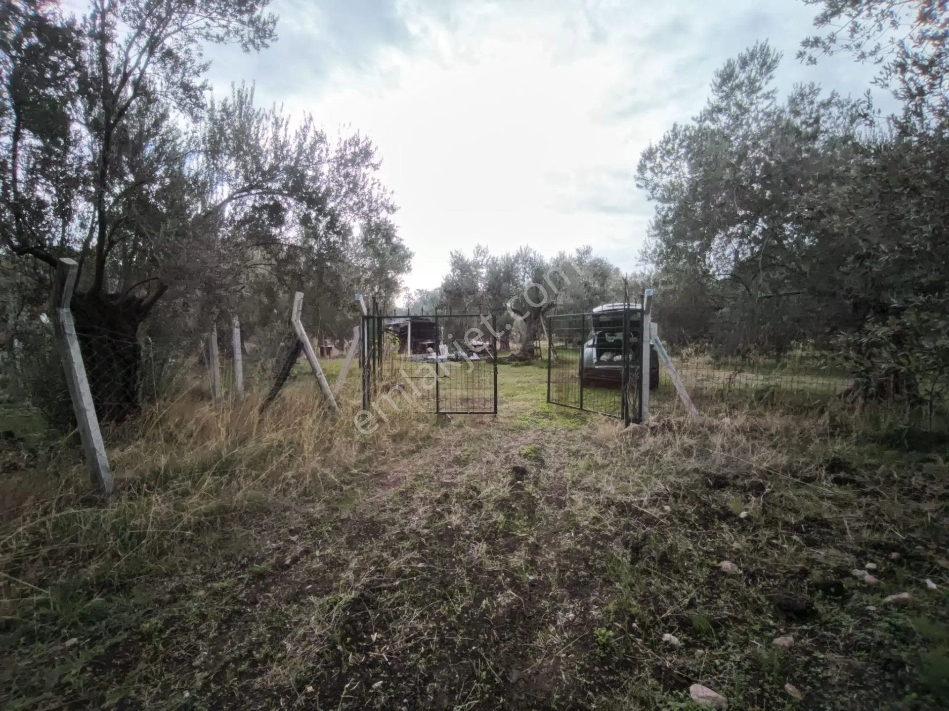 Havran Mescit Merkeze Çok Yakın 1092 M2 — fotoğraf 35