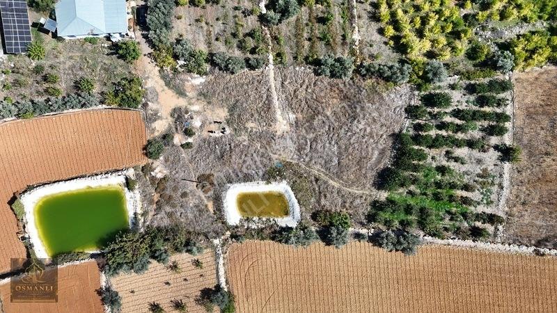 Mersin Erdemli Esenpınar Ağlıca Da 1731m2 Satılık Tarla — fotoğraf 5