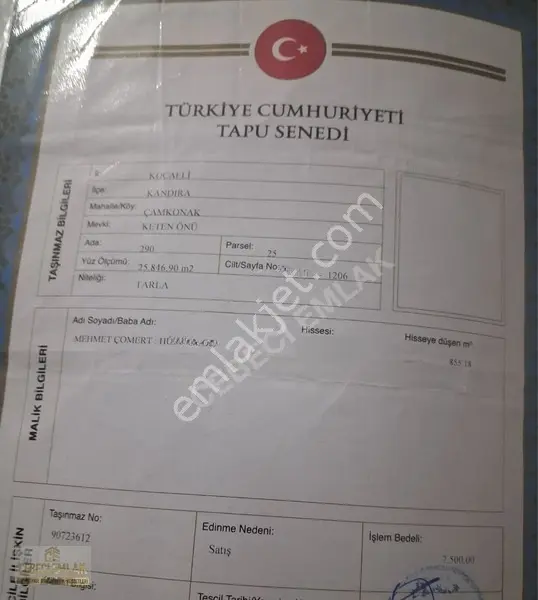 Kandıra Çamkonakda Acil Satılık 855 M2 — fotoğraf 2