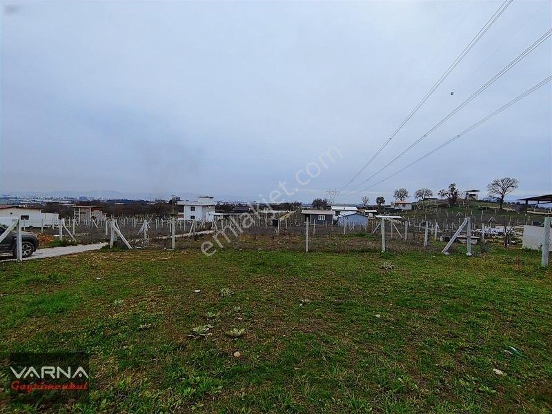 Menderes Dereköy Mah. Satılık 300 M2 Arsa Gibi Bahçe — fotoğraf 5
