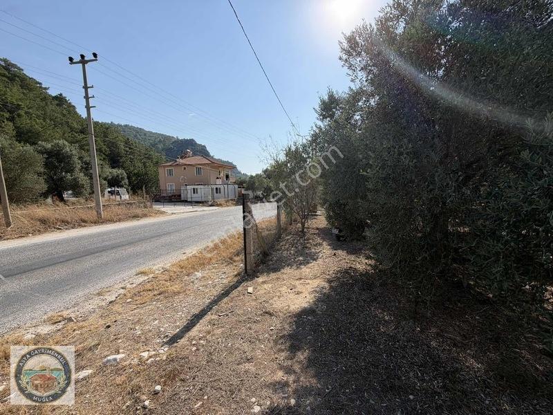 Anayola Sıfır Tarla Kısa Süreliğine Aciliyetten — fotoğraf 5