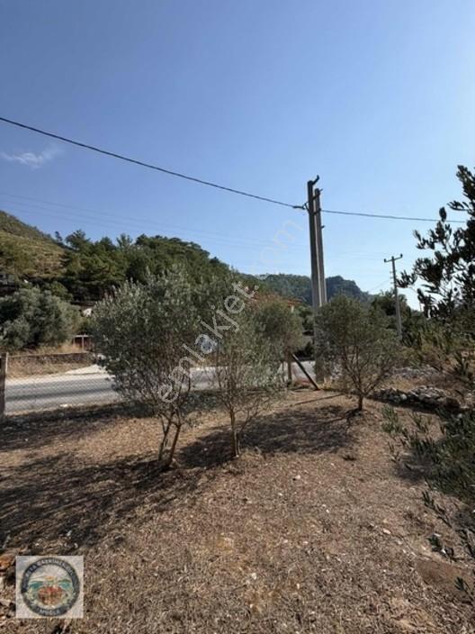 Anayola Sıfır Tarla Kısa Süreliğine Aciliyetten — fotoğraf 6