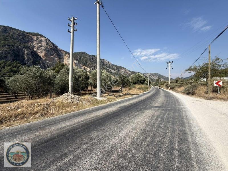 Anayola Sıfır Tarla Kısa Süreliğine Aciliyetten — fotoğraf 7