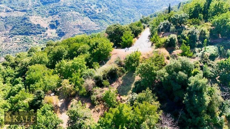 Kale'den Dallık'ta Ana Yol Üstü Manzaralı Bahçe — fotoğraf 2