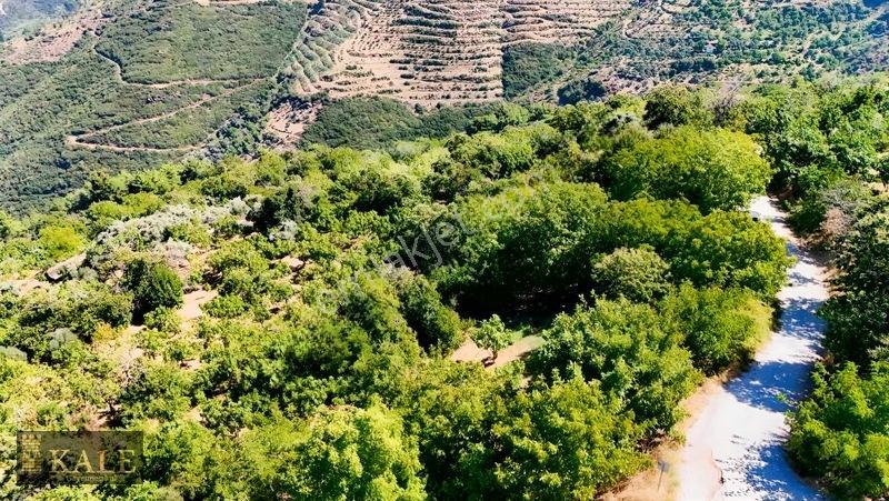 Kale'den Dallık'ta Ana Yol Üstü Manzaralı Bahçe — fotoğraf 3