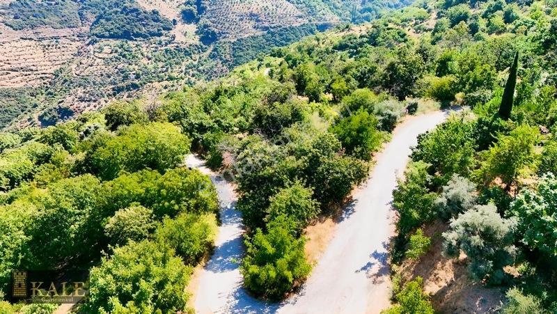 Kale'den Dallık'ta Ana Yol Üstü Manzaralı Bahçe — fotoğraf 4