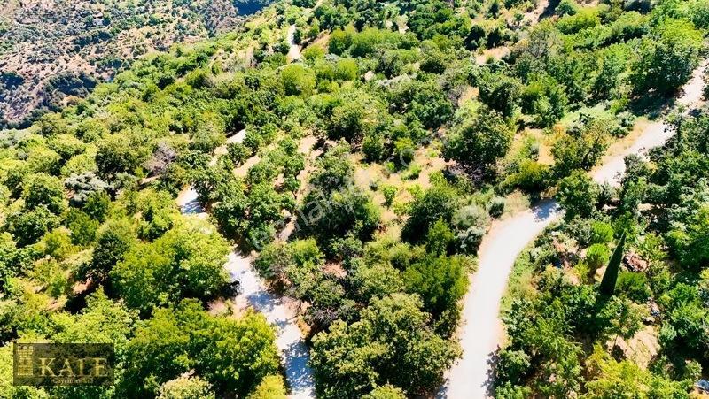 Kale'den Dallık'ta Ana Yol Üstü Manzaralı Bahçe — fotoğraf 5