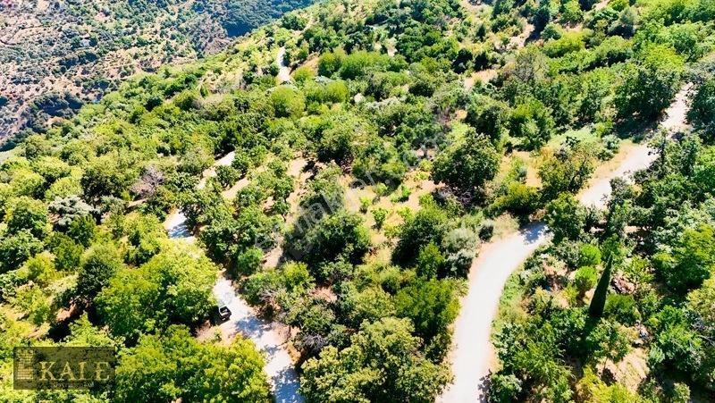 Kale'den Dallık'ta Ana Yol Üstü Manzaralı Bahçe — fotoğraf 6
