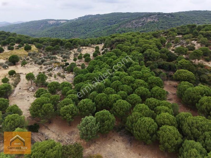 Şehirden Sıkılanlara Özel Bol Oksijenli Hobi Bahçesi — fotoğraf 2