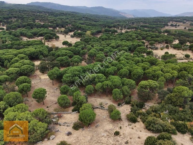 Şehirden Sıkılanlara Özel Bol Oksijenli Hobi Bahçesi — fotoğraf 6