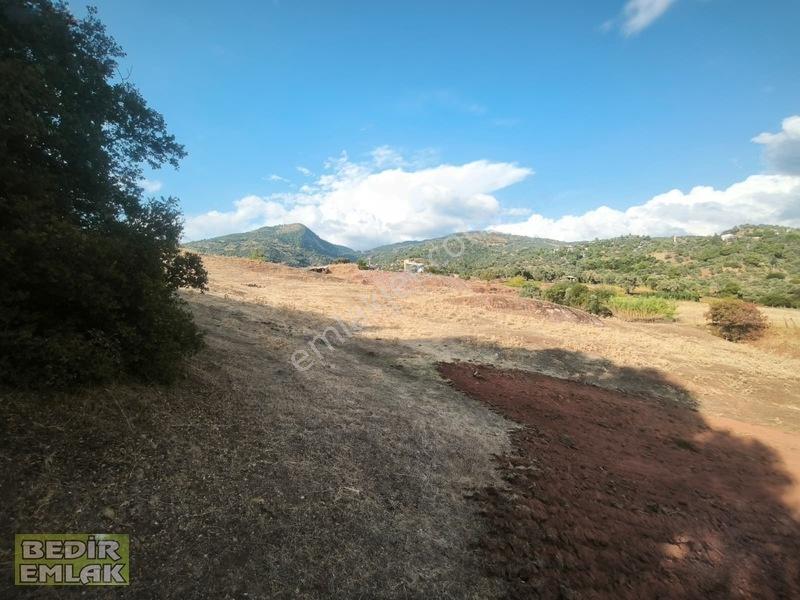 Horozköyde Doğa İçinde Satılık Arazi — fotoğraf 6