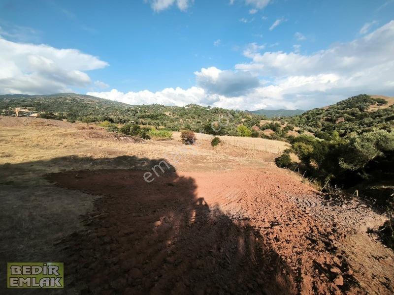 Horozköyde Doğa İçinde Satılık Arazi — fotoğraf 13