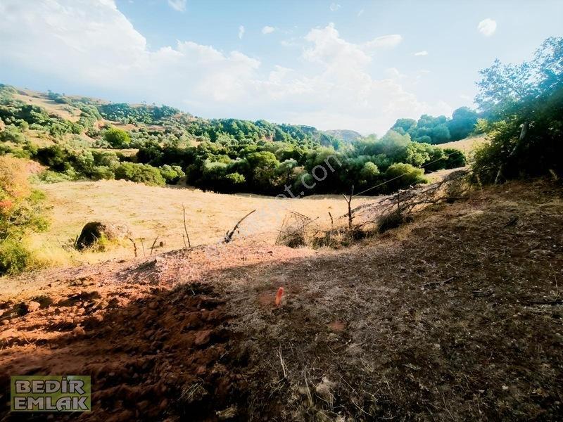 Horozköyde Doğa İçinde Satılık Arazi — fotoğraf 15