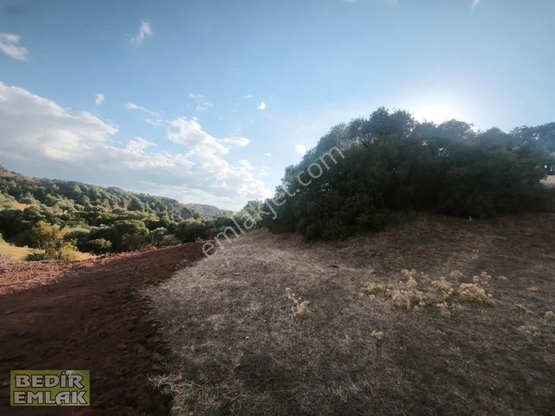 Horozköyde Doğa İçinde Satılık Arazi — fotoğraf 17
