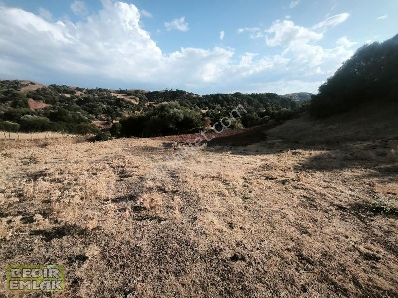 Horozköyde Doğa İçinde Satılık Arazi — fotoğraf 18