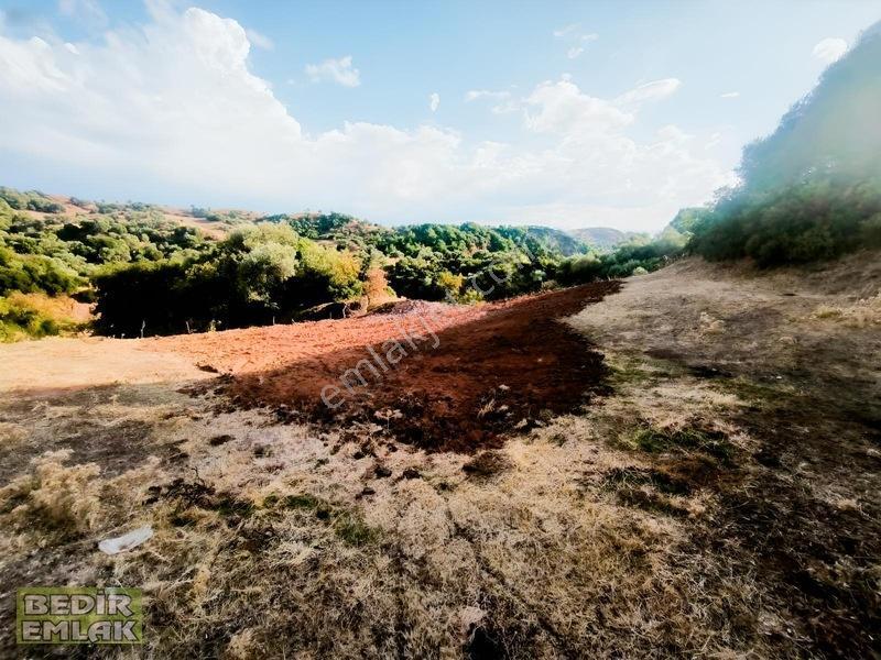 Horozköyde Doğa İçinde Satılık Arazi — fotoğraf 19