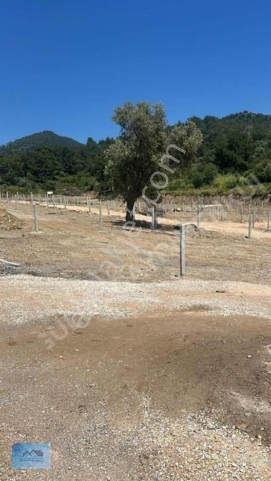 Özdere'de Satılık Parseller 200m2 — fotoğraf 15