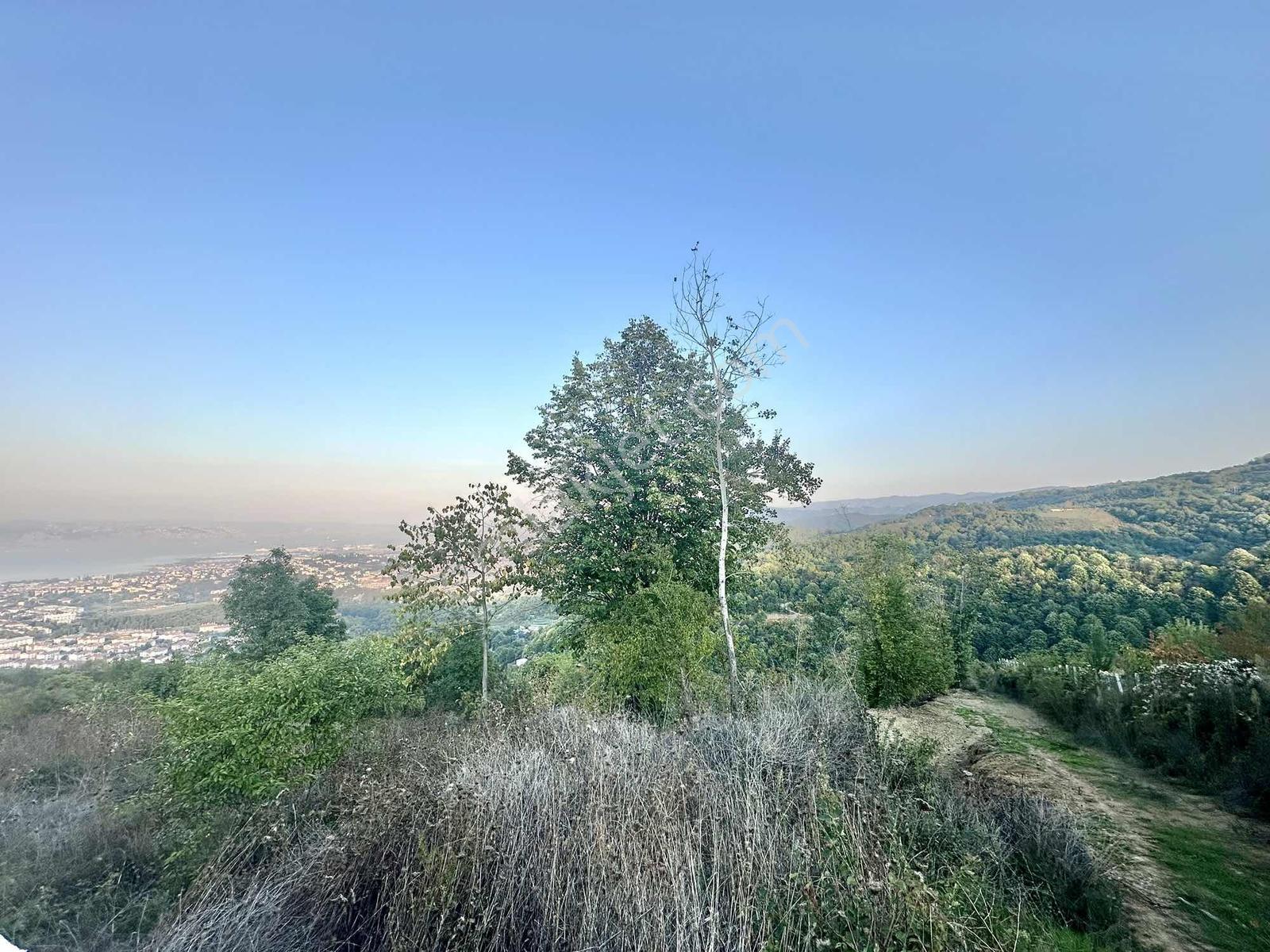 Saraylıda Deniz Manzaralı 2613 M2 Müstakil Parsel — fotoğraf 8