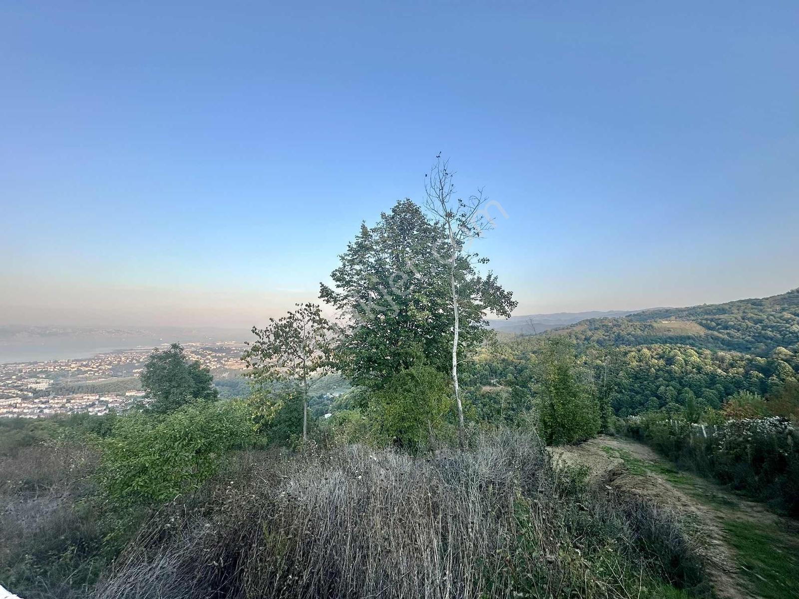 Saraylıda Deniz Manzaralı 2613 M2 Müstakil Parsel — fotoğraf 9