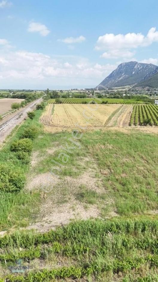 Yukarı Çobanisada Yatırım Fırsatı!!! — fotoğraf 2