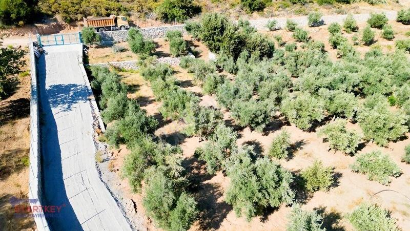 Startkey Pelit İmar Sınırına Yakın 88 M Yol Cepheli Tarla — fotoğraf 3